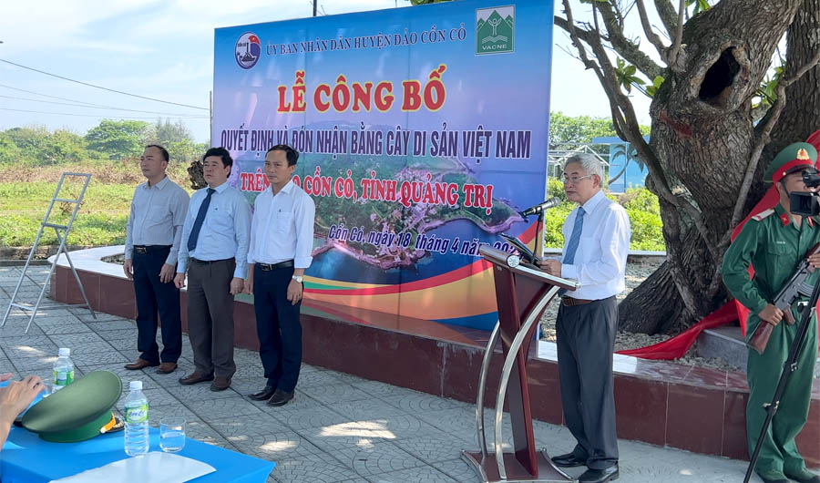 Những[-]cây[-]đầu[-]tiên[-]của[-]tỉnh[-]Quảng[-]Trị[-]được[-]công[-]nhận[-]Cây[-]Di[-]sản[-]Việt[-]Nam